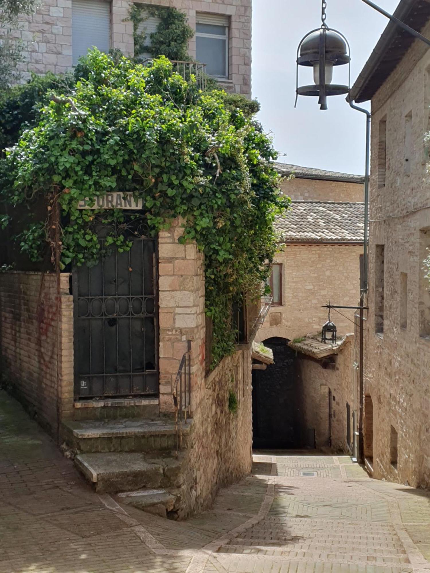 La Perla Di Tamara-Assisi Blu Daire Dış mekan fotoğraf
